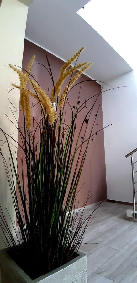 B&B Filieri Santa Maria al Bagno Buitenkant foto